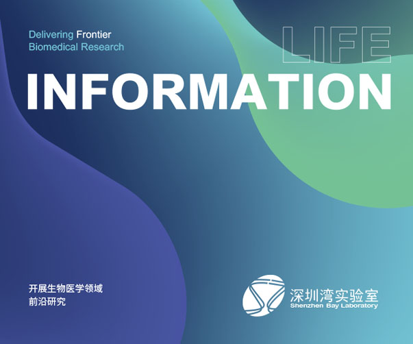 跨越數(shù)十年的logo設(shè)計(jì)趨勢(shì)演變